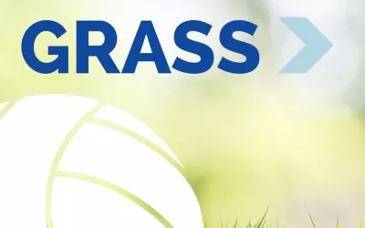 grass