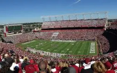 Gamecocks fans